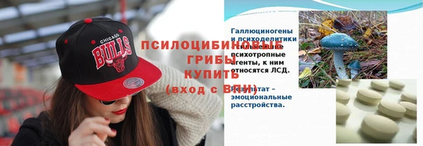 сатива Вязьма