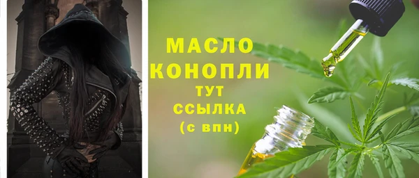 сатива Вязьма